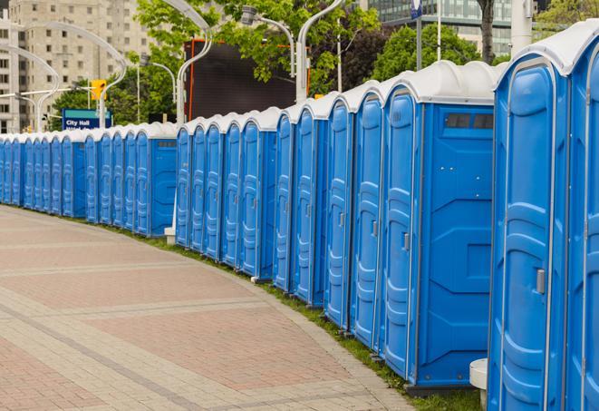 Seasonal porta potty units set up at a Oswego, New York venue